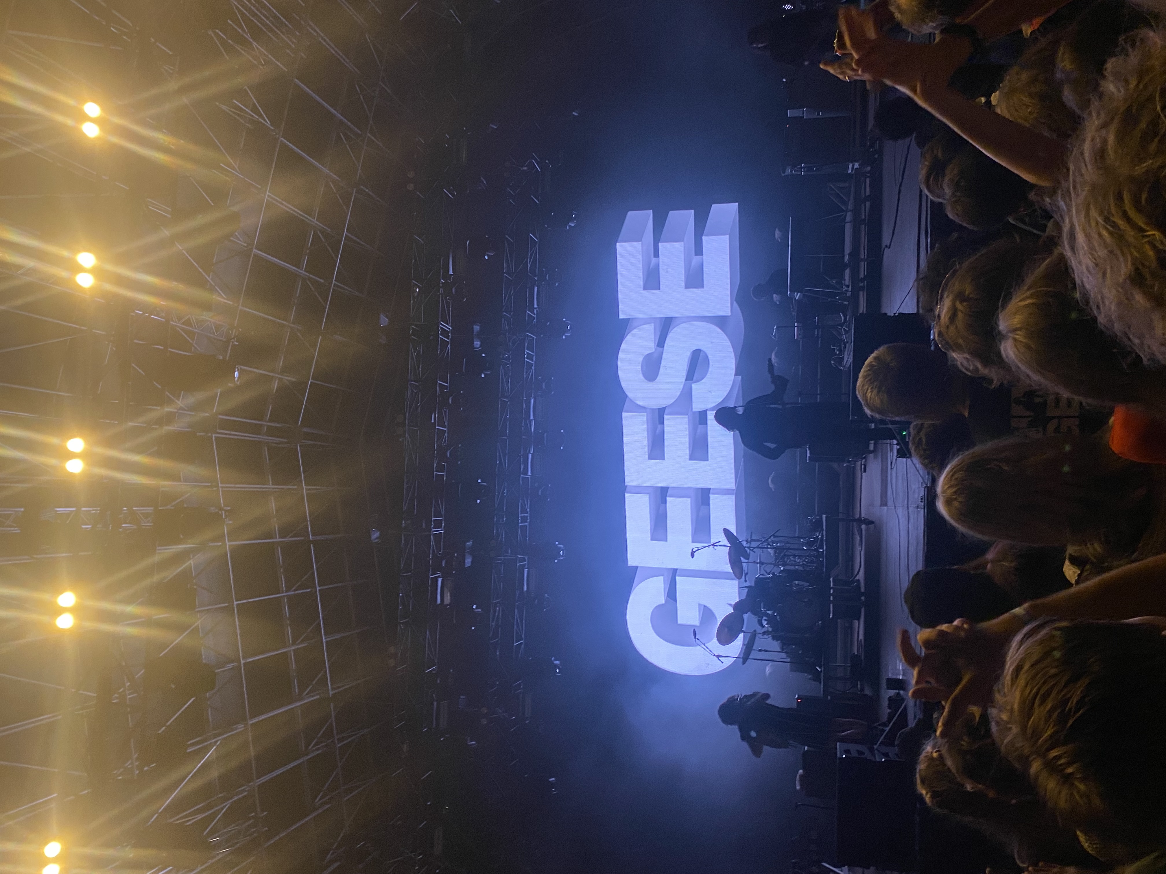 Geese songs