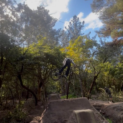 Ryder